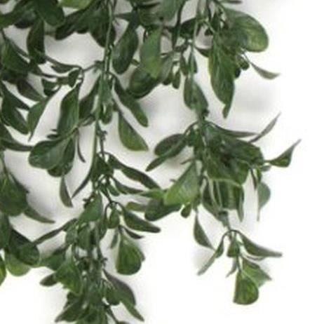 Pack of 6 x Hanging UV and Fire Resistant Artificial Peperomia Plant 68cm-3